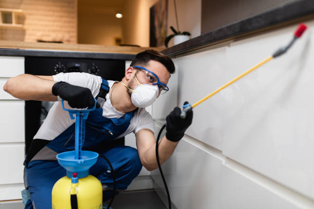 Best Affordable Exterminators  in Montevlo, AL