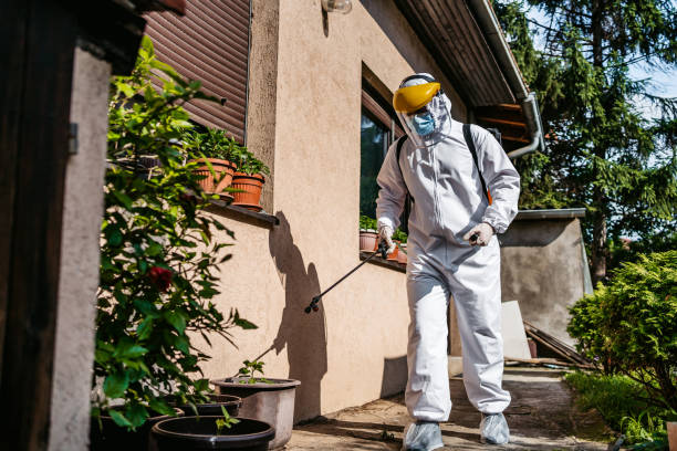 Best Exterminator Services  in Montevlo, AL