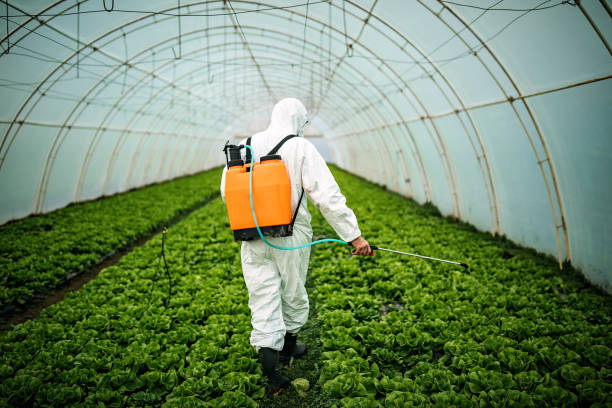 Best Affordable Pest Control Services  in Montevlo, AL
