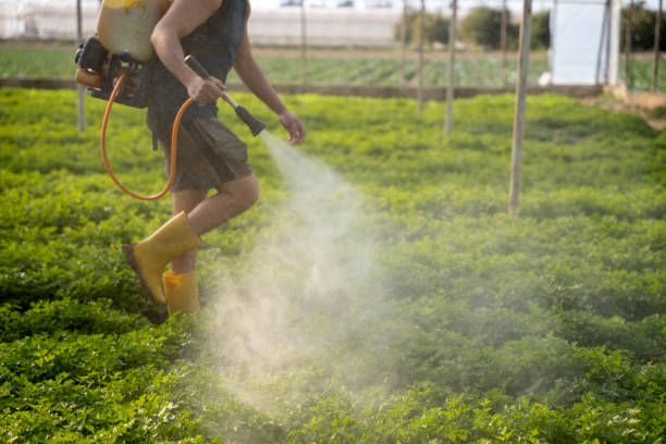 Best Best Pest Control Companies  in Montevlo, AL