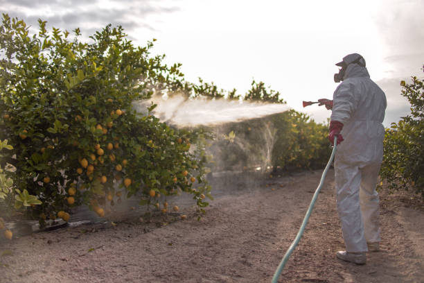 Best Pest Inspection Near Me  in Montevlo, AL