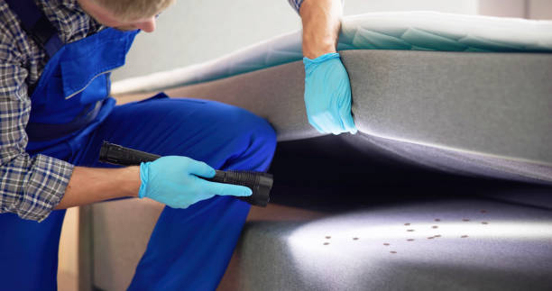 Best Emergency Pest Control  in Montevlo, AL
