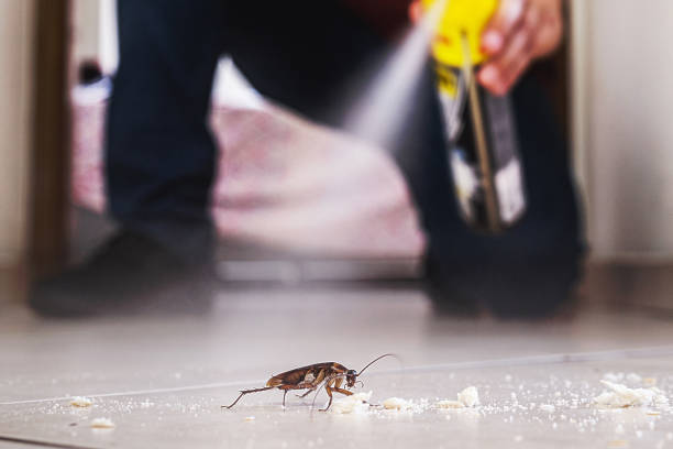 Best Pest Prevention Services  in Montevlo, AL